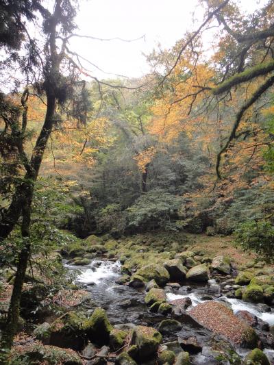 秋の熊本・紅葉＆温泉三昧の旅（２）菊池渓谷・菊池温泉