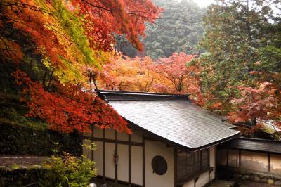 2010　紅葉を追いかけて（3）　両界山横蔵寺の紅葉