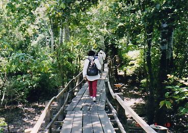 ブラジル：アマゾンの旅