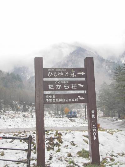 2010　せせらぎ街道～平湯温泉　晩秋から初冬の旅②