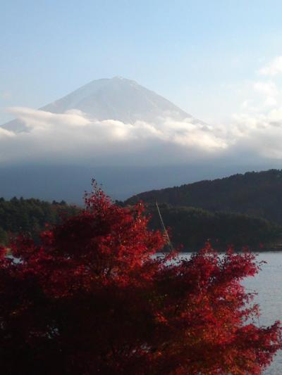 もみじトンネル、もみじ回廊、そして御殿場高原時之栖でキラキラ