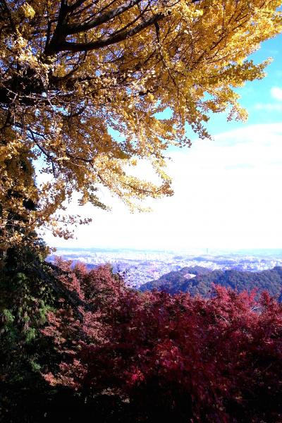 紅葉まっさかりの高尾山2010