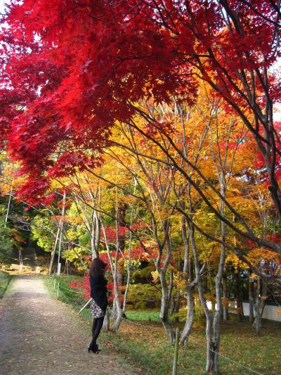 岡山/雪舟が修行したお寺　宝福寺の紅葉と名勝地豪渓