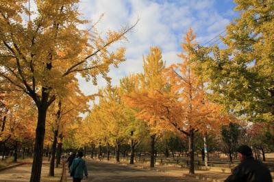 大阪城公園