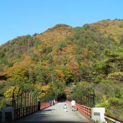 【島根～山口】深谷大橋ほか　10年11月19日