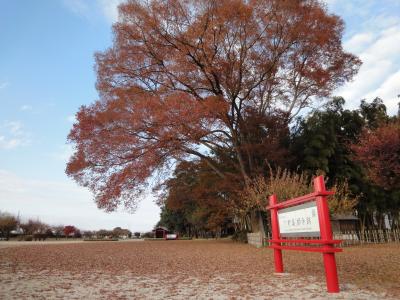 道鏡最期の地・栃木県下野薬師寺跡に行ってみた