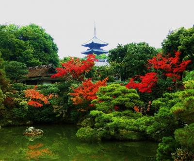 京都の紅葉狩り