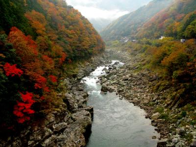 四国の紅葉と食、ときどき温泉～その2：四国の秘境　祖谷渓谷～