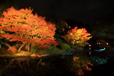 紅い栗林公園（ライトアップあり）