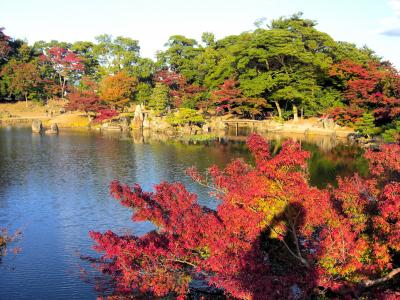 紅葉の彦根城