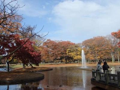 代々木公園の紅葉