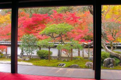 正暦寺の紅葉