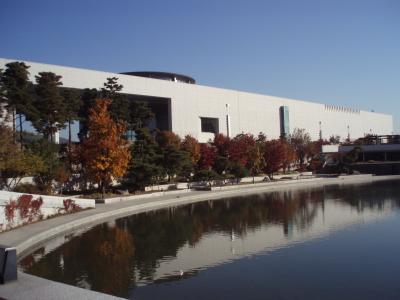 韓国再訪　ラクダの親孝行　自由な時間がないけどコスメは買わなきゃね♪①　２０１０・１１