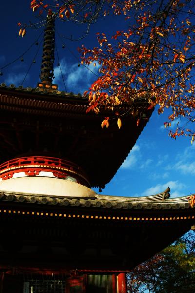 紅葉を求めて小江戸・川越ぶらり旅