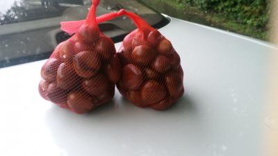 栗、栗、栗・・・in 中津川