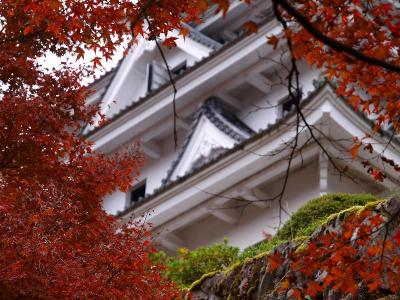 紅葉の郡上八幡を尋ねて 　郡上八幡城ー１