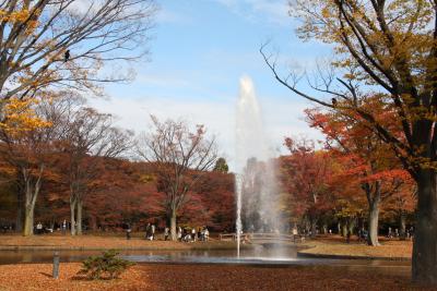 秋色の東京散歩：代々木公園あたり