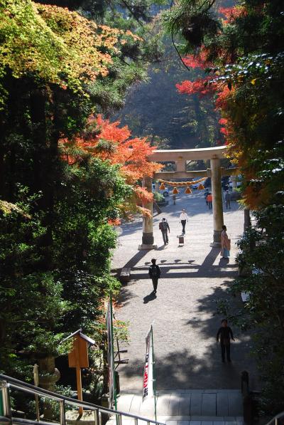 久しぶりに長瀞地区をハイキングする⑤宝登山神社を訪問(作成中)