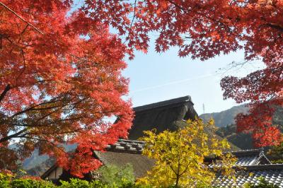 2010　紅葉を追いかけて（7）　永源寺