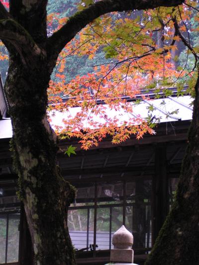 ☆紅葉・養父神社と☆農匠の郷やくの☆