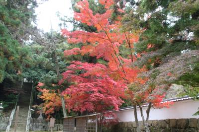 2010年播磨の紅葉①　加西市　法華山一乗寺