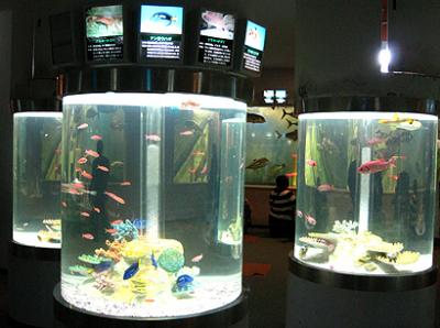 新札幌・サンピアザ水族館