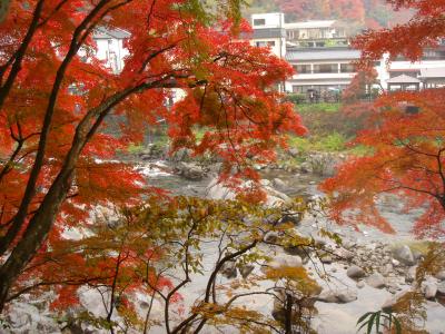 紅葉の香嵐渓・寸又峡温泉　大井川鉄道～あぷとラインの旅
