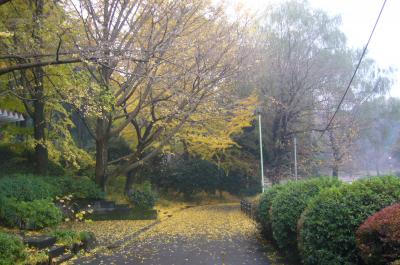 秋色の三つ池公園