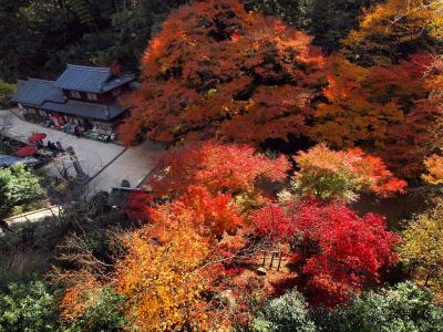 姫路城周辺の紅葉＆書写山の見事な紅葉を楽しむ旅　２０１０年