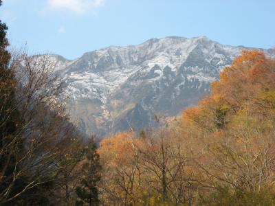 群馬県谷川温泉　旅館たにがわに宿泊　No2