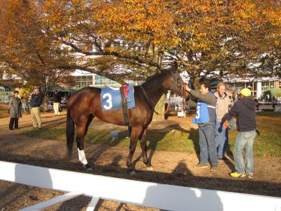 NJTに乗ってモンマスパーク競馬場へ