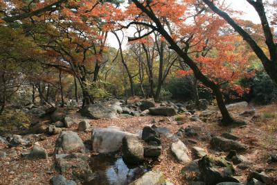 【釜山旅行 Vol.1】 市内観光のあとは梵魚寺で紅葉狩り