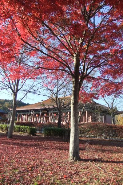 紅葉真盛りの秩父路を歩く