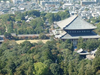 若草山からの市内の風景ご堪能あれ・・(*^^)v