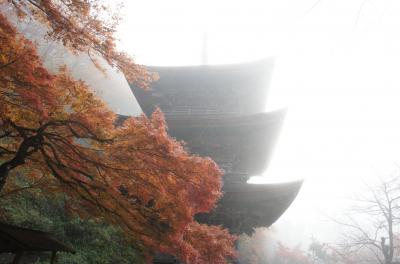 紅葉の金剛院