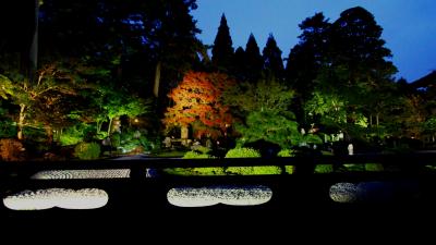 初秋・「曼殊院門跡」夜間拝観（ライトアップ）