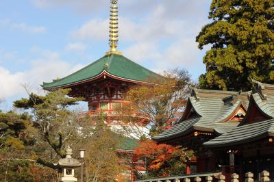 紅葉を見に成田山へ