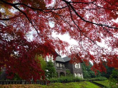 江戸の香り　美しい紅葉の東京名園めぐりＶｏｌ１　旧古河庭園