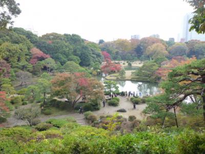 江戸の香り　美しい紅葉の東京名園めぐりＶｏｌ２　六義園