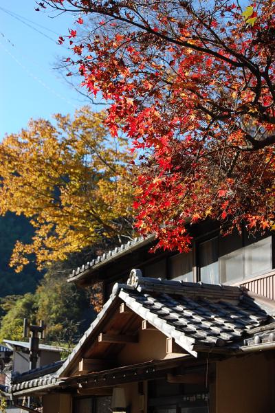 東海道　宇津ノ谷峠と玉露の里