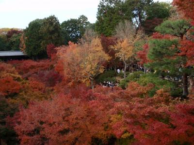 京都紅葉