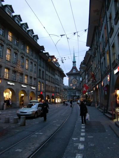 ヨーロッパ(ドイツ・スイス・フランス)旅行記(5)