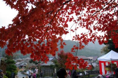 兵庫紅葉狩り