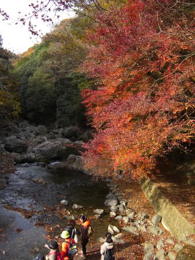 摂津峡☆紅葉狩りハイキング♪ドキドキのオフ会デビュー