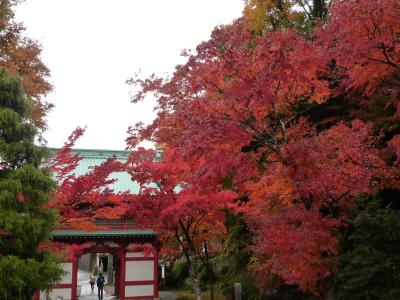 さわやかウォーキング  紅葉と富士山眺望 小山町ウォーキング