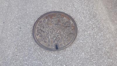 阿嘉島の海に癒されて~