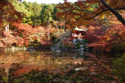 京都の紅葉をチャリで巡る10年版⑤山科・醍醐