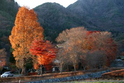 晩秋の河口湖畔散歩！
