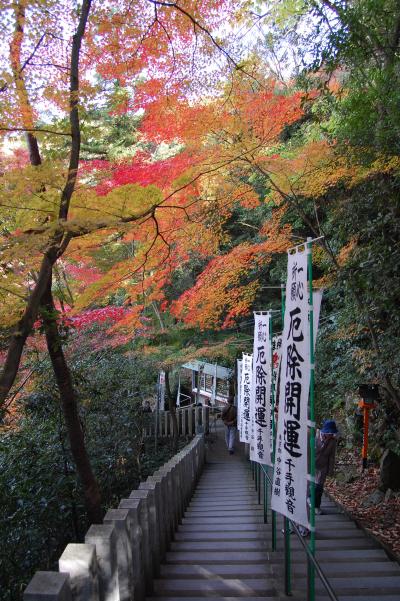 犬山　寂光院へ紅葉を見に行きました。