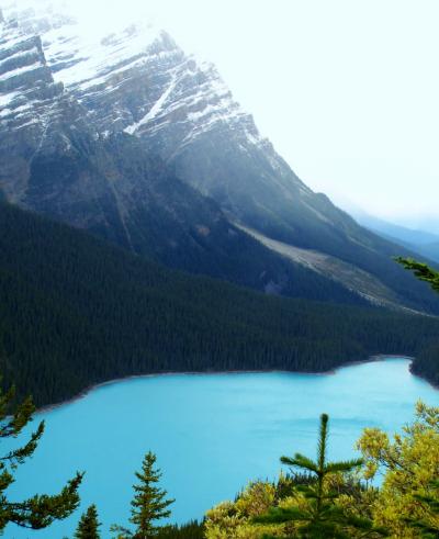 カナダ15　ペイトー湖　氷河が生んだミルキーブルー　☆展望台からのパノラマ